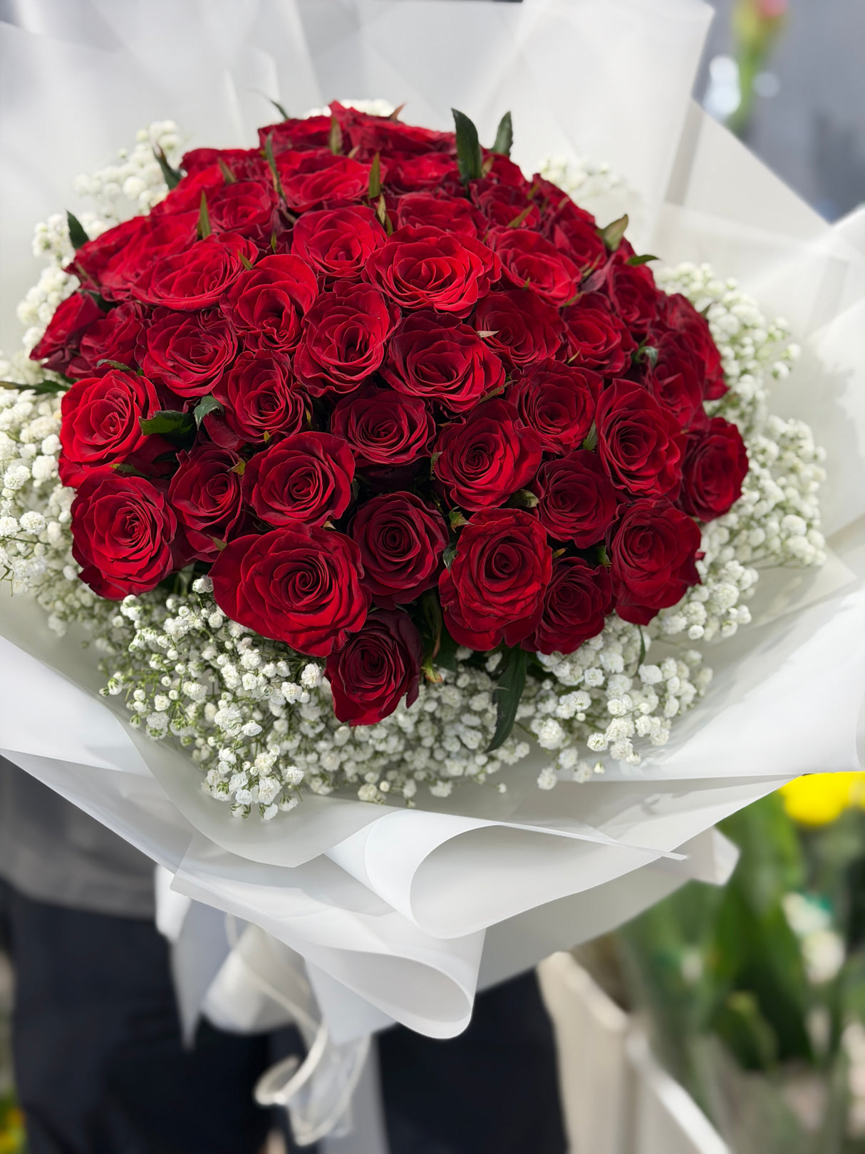 Regretless Love | 50 Classic Red Roses & Baby's Breath Proposal Bouquet