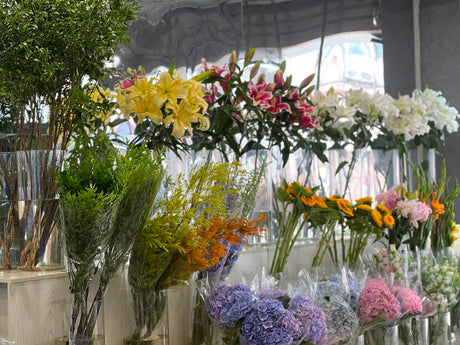 2026 旺角花墟買花攻略：點樣揀最靚嘅玫瑰？