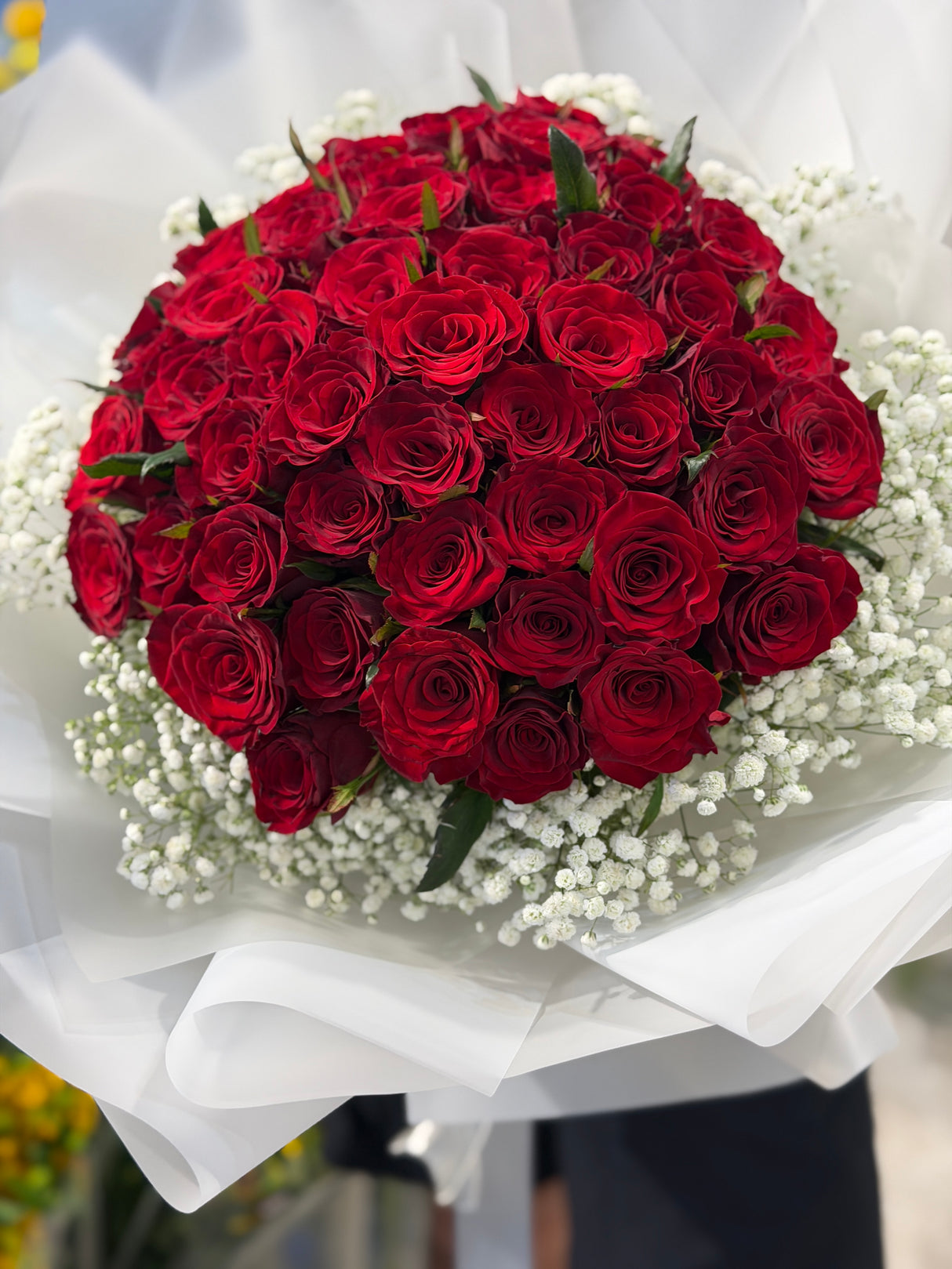 Regretless Love | 50 Classic Red Roses &amp; Baby's Breath Proposal Bouquet