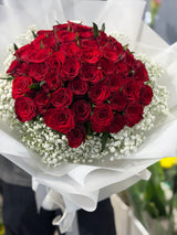 Regretless Love | 50 Classic Red Roses &amp; Baby's Breath Proposal Bouquet